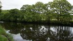 BURNSALL