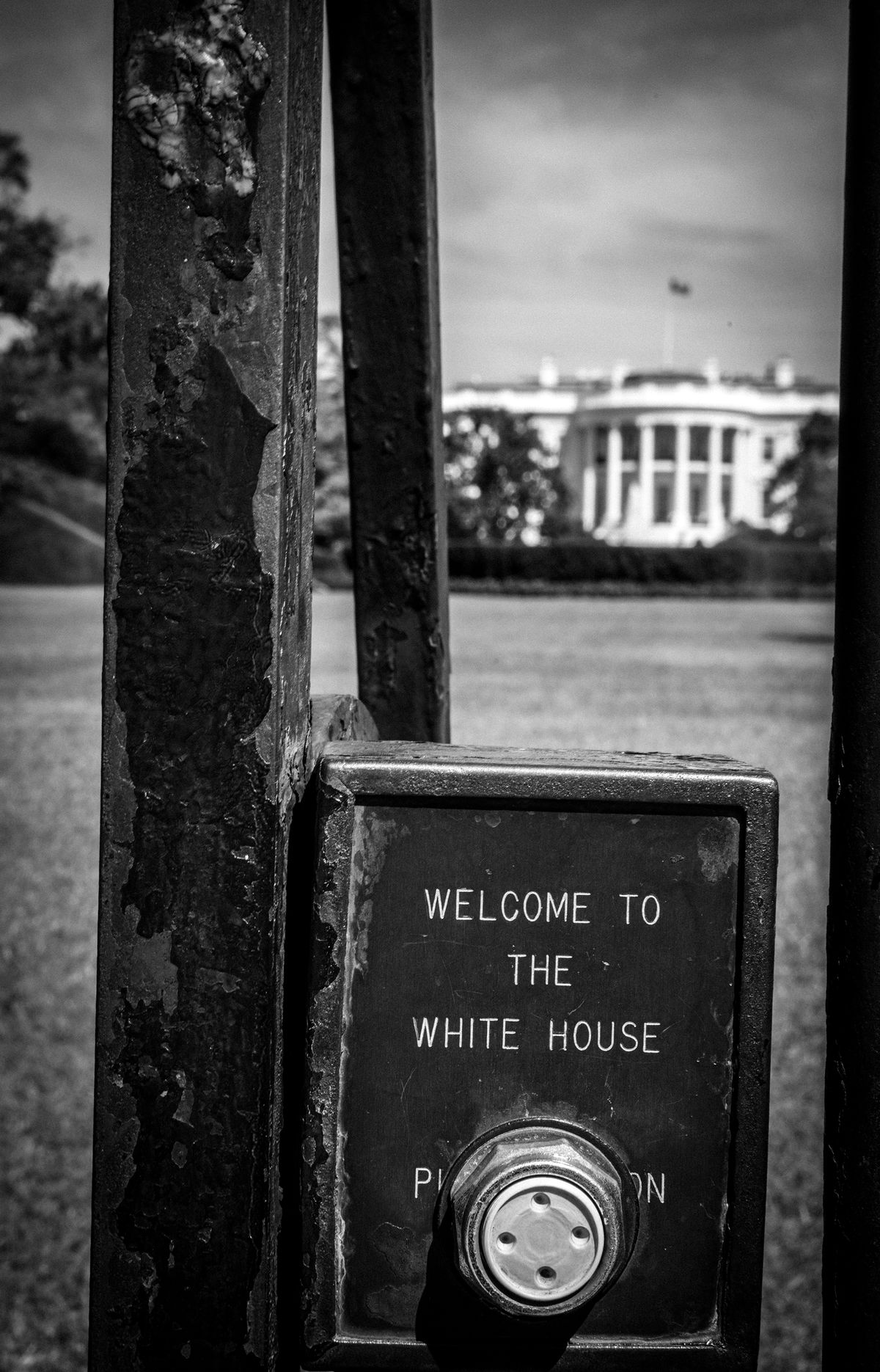 The White House, Washington DC