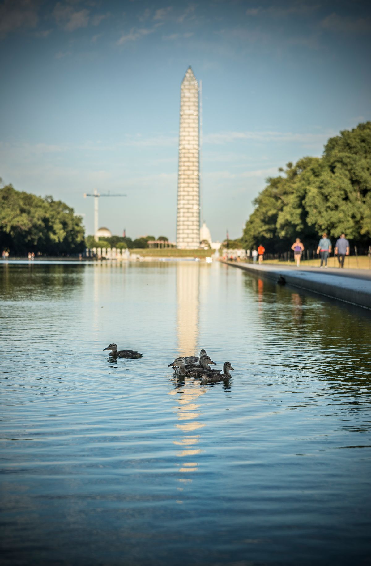 Washington Memorial