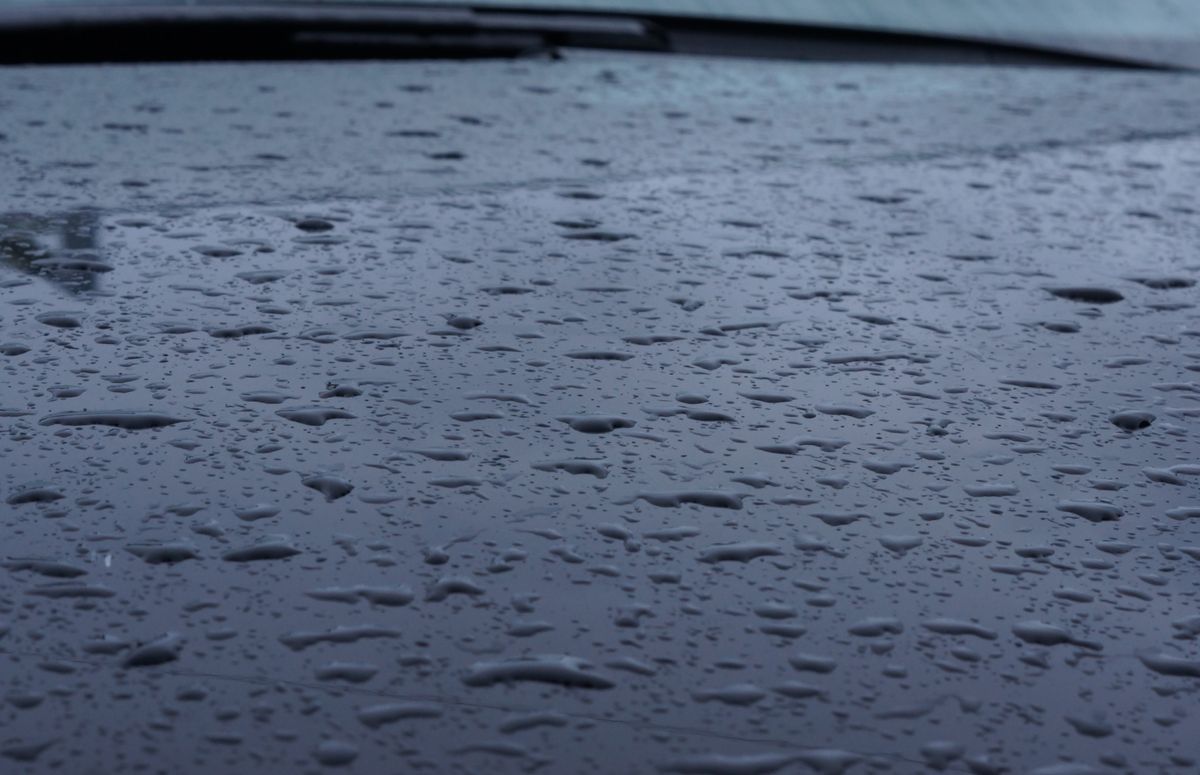 wet car bonnet