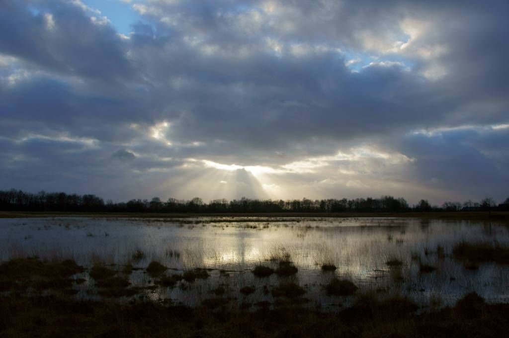 Nederland - Drenthe - Stuifgat - Heideveld tussen Lieveren en Bunne