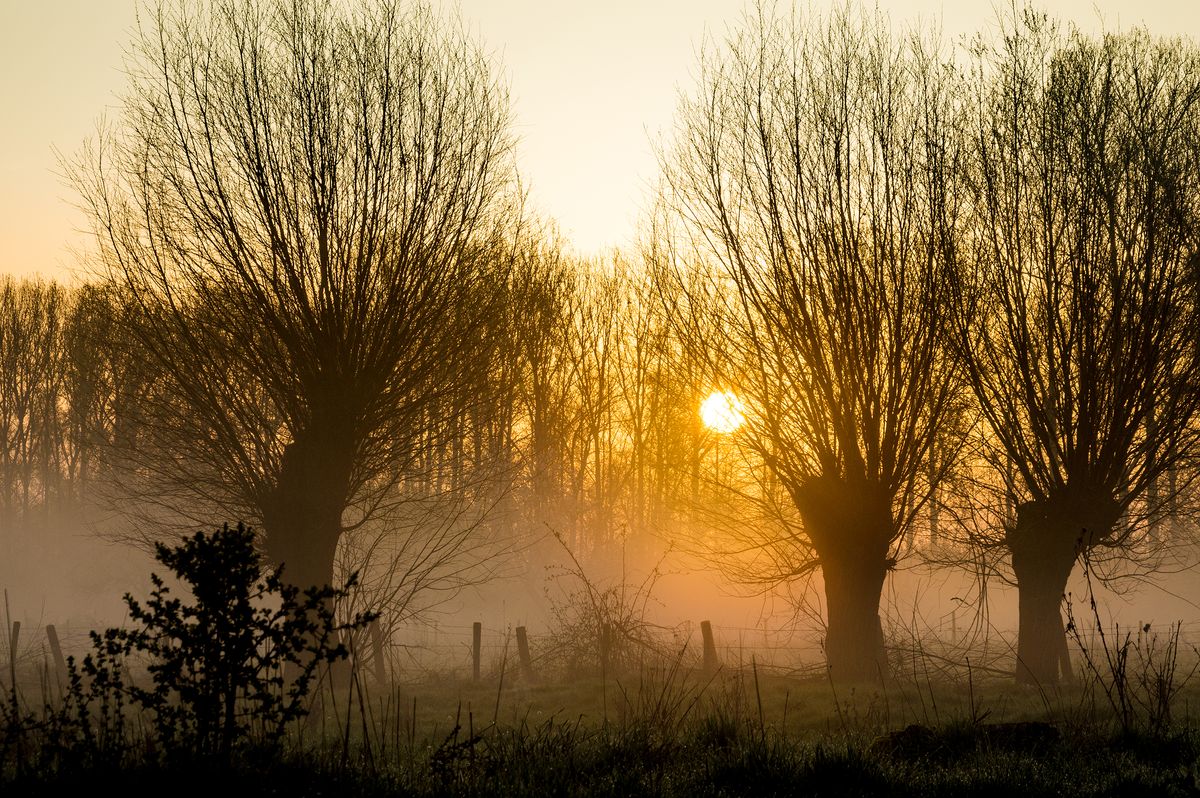 Mist omgeving Tongeren