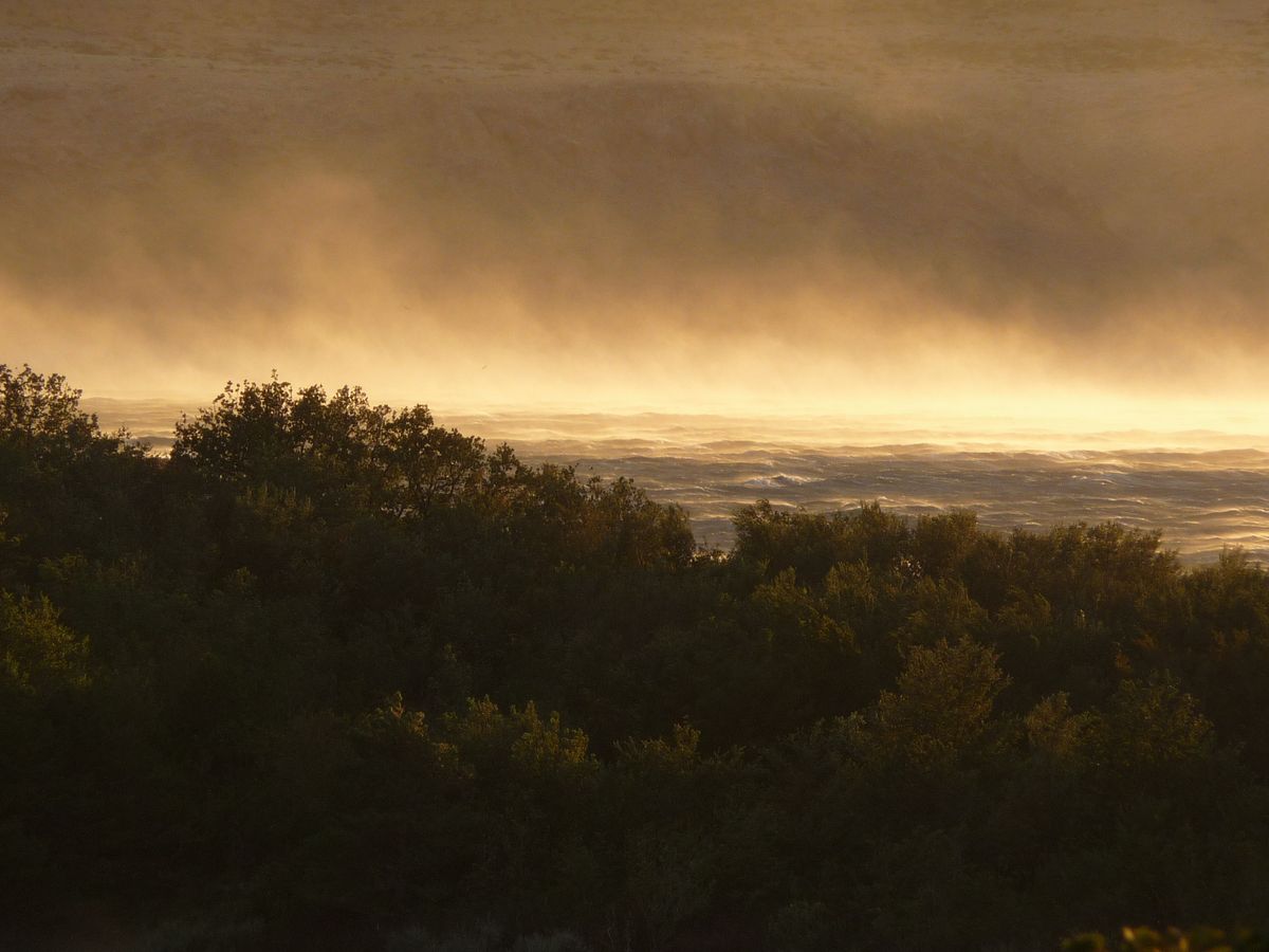 the wind paints a turner landscape