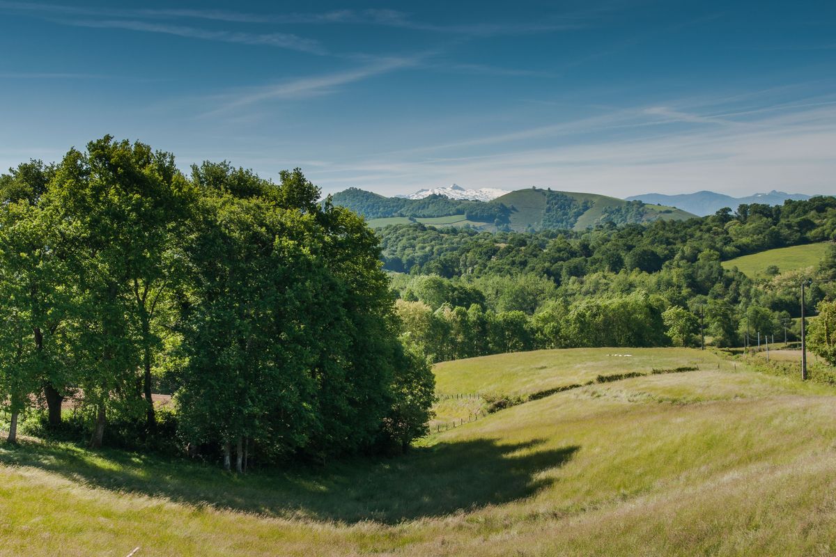 On the way to pyrenean summits