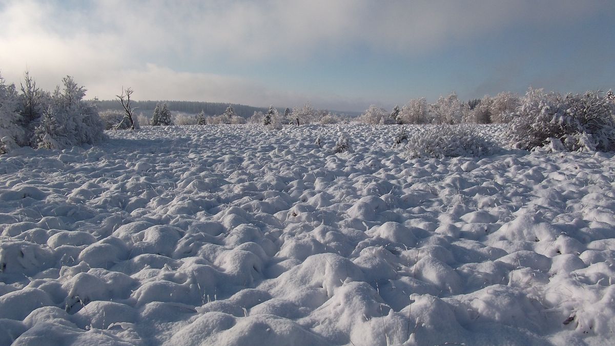 Premières neiges