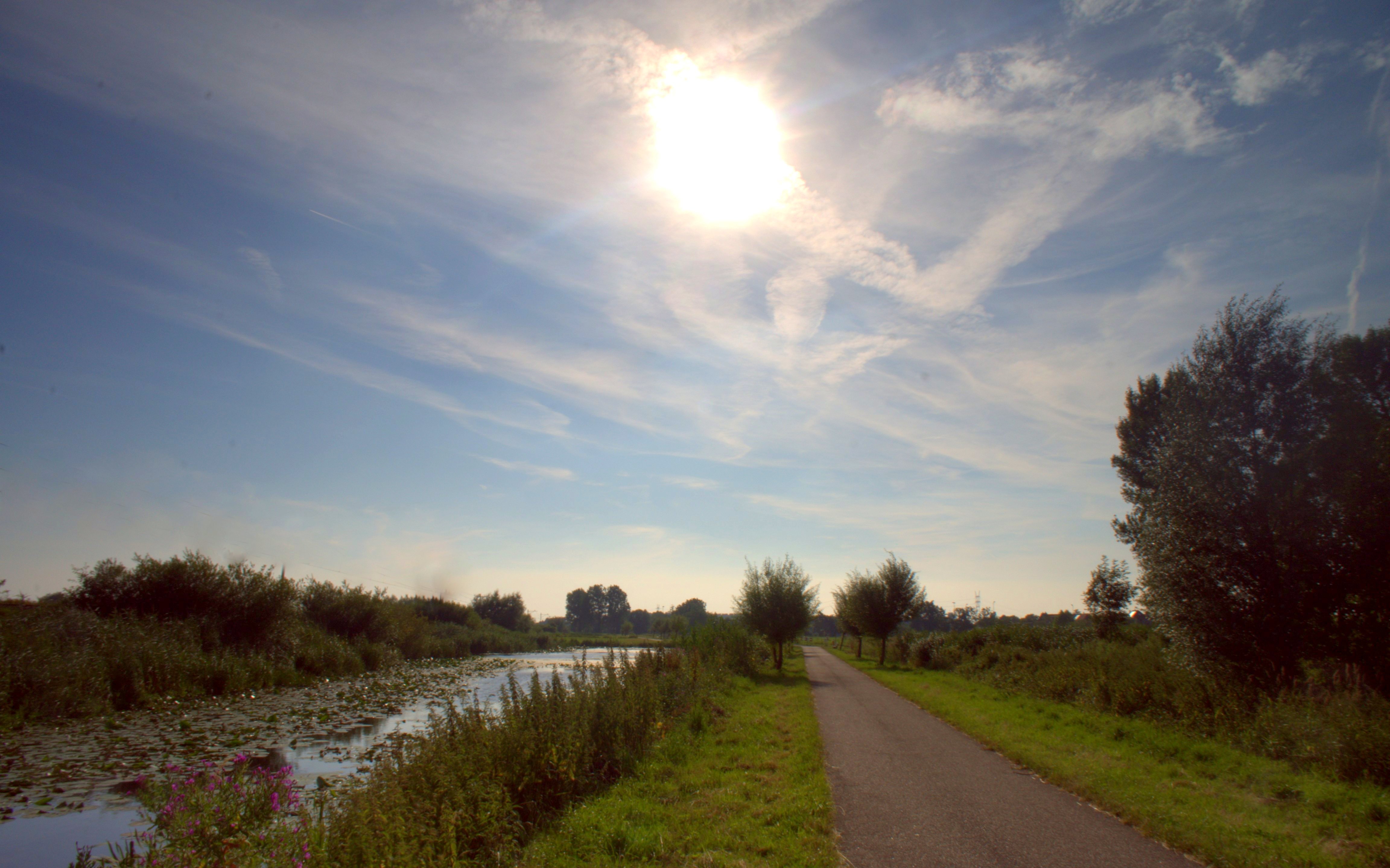 In de polder 3.jpg