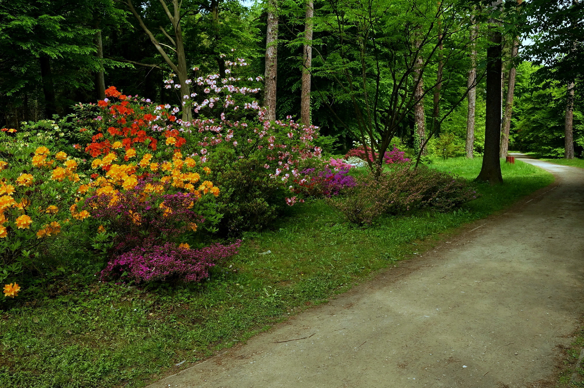 Arboretum Rogów