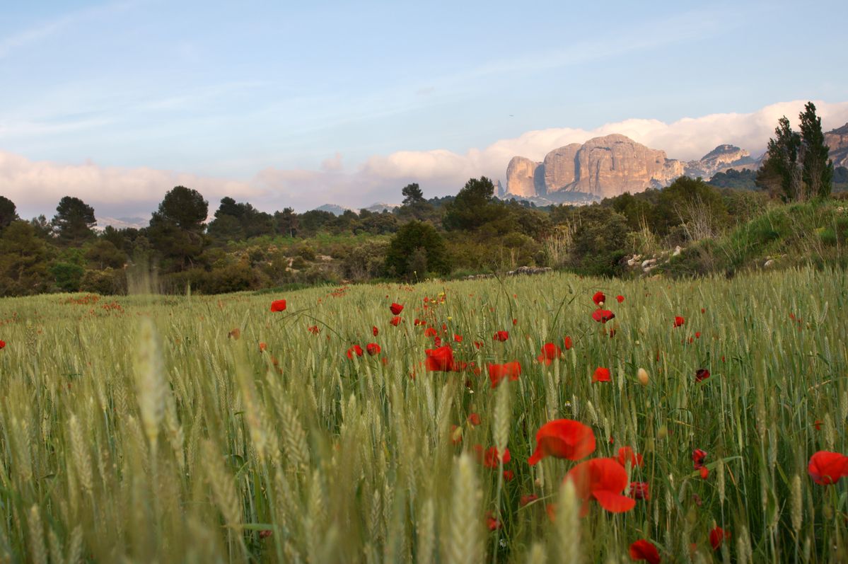 Spring in Spain