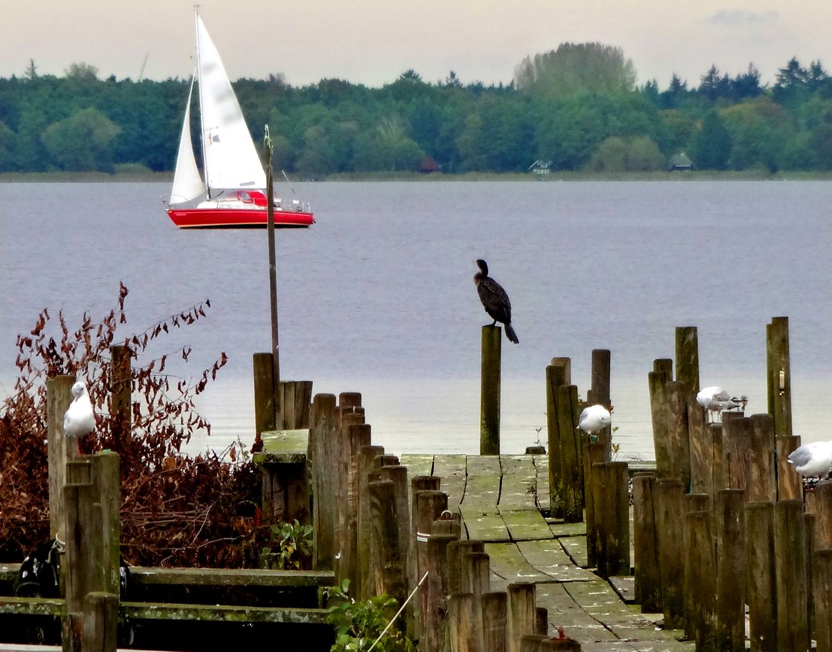 Ein ruhiger Moment am Steg...