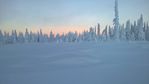 Cannoball trees in frosty landscape, Kuusamo Finland