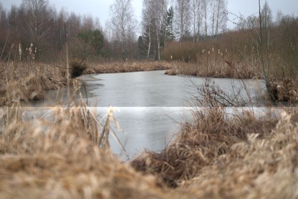 f4ef6cb9-ca53-4002-a887-2ec04bfc37ea.jpg f4ef6cb9-ca53-4002-a887-2ec04bfc37ea.jpg