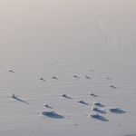 Profile (KP_IceBoundVenture)