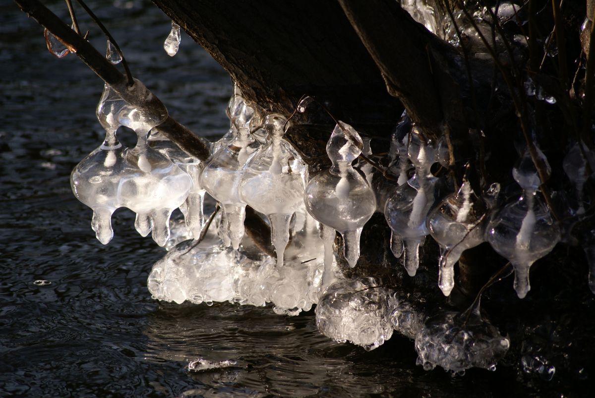 Dieses Foto entstand in der Nähe der Zitadellenschleuse im Januar 2012