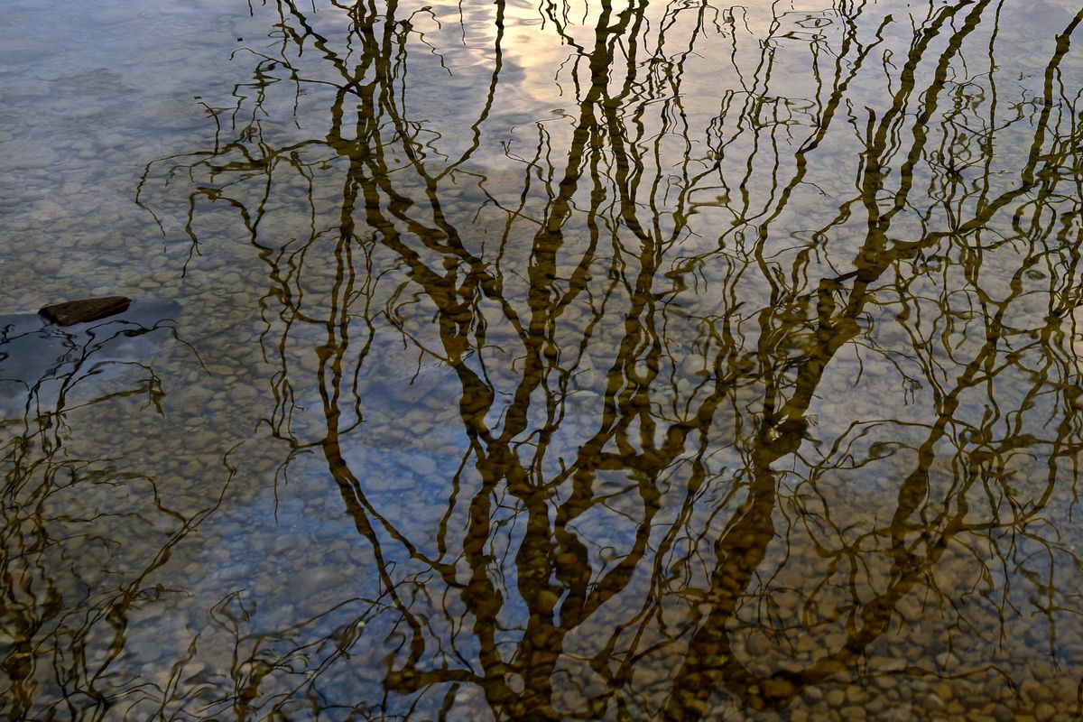 Abendstimmung am Tegernsee in Oberbayern, Spiegelbild von Ästen im Wasser plus Stein links oben im Foto, der ein bisschen aus dem Wasser herausragt; moderate, nicht ganz einfache Lichtverhältnisse; fotografiert mit der Sony DSC-RX1, ISO 100, Blende f/4, Verschlusszeit 1/80, 35mm Festbrennweite; in moderaten Lichtverhältnissen spielt die RX1 ihre enormen Stärken aus! Als jpeg direkt aus der Kamera geholt, nur geringfügig mit Photoshop und iPhoto auf dem Mac akzentuiert