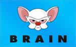 pinky-and-the-brain-flag-wallpaper-2560x1600-large2.jpg