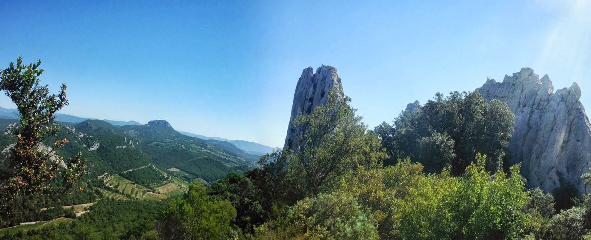 Dentelles de Montmirail